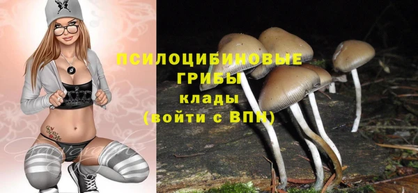 крисы Волоколамск