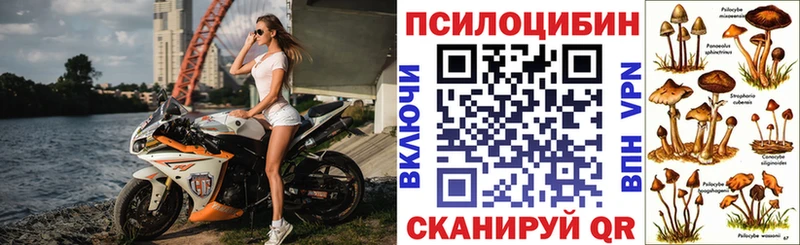 Галлюциногенные грибы прущие грибы  Черняховск 